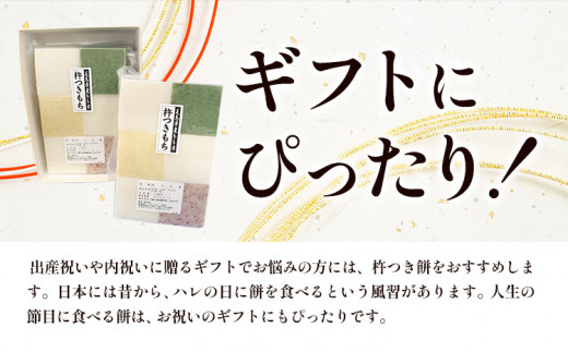 杵つき餅　(白・よもぎ・こきび・たかきび) 4種類 24個 アグリサポート美馬《12月上旬‐12月末頃出荷》 もち米 餅 もち 送料無料 徳島県 美馬市