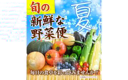 ＜先行予約＞ 旬の新鮮な 野菜便 7月夏便 8〜10品 アグリサポート美馬《7月上旬-7月末頃出荷》とうもろこし 夏野菜 じゃがいも きゅうり ブルーベリー キャベツ 茄子 玉ねぎ 豆  野菜 青果物 送料無料 徳島県 美馬市