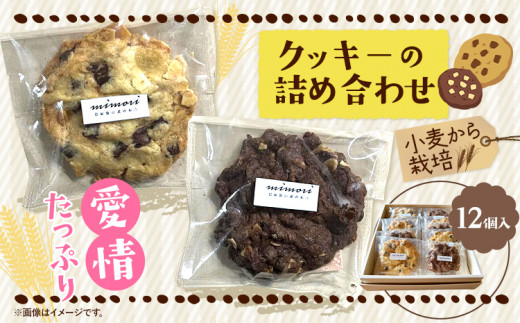 クッキーの詰め合わせ 選べる 内容量 12個入り 美馬市産 実森ラボラトリー株式会社 自家製小麦のお店mimori《30日以内に発送予定(土日祝除く)》送料無料 徳島県 美馬市 お菓子 クッキー 小麦 チョコこども 子供 スイーツ おやつ