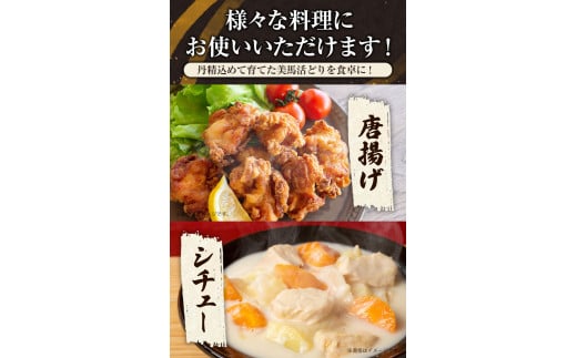 鶏肉 3kg 3種詰合せ(モモ、ムネ、ササミ) 《30日以内に出荷予定(土日祝除く)》株式会社かねひ活鳥 徳島県 美馬市 肉 鶏 鶏肉 モモ ムネ ササミ 送料無料 st-p