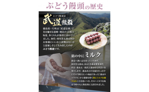 ぶどう饅頭 25本 (5本入り5袋) 《30日以内に出荷予定(土日祝除く)》有限会社日乃出本店 徳島県 阿波 ブドウ 饅頭 飴 ミルク 自家製あん 老舗 和菓子 剣山 穴吹川 贈り物 衛生的 個包装 環境保護 品質保持 st-p