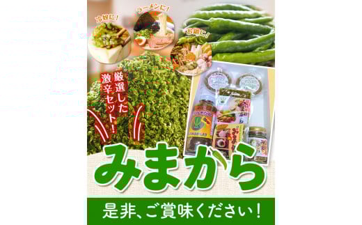 薬味 みまから 激辛セット 《30日以内に出荷予定(土日祝除く)》工房ロマン 徳島県 美馬市 みまから 特産品 美馬市産 青唐辛子 唐辛子 冷奴 ラーメン お鍋 薬味みまから うまからみそ ちりめんみそ 焼肉たれ激辛