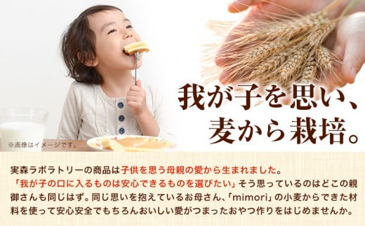 クッキーの詰め合わせ 選べる 内容量 6個入り 美馬市産 実森ラボラトリー株式会社 自家製小麦のお店mimori《30日以内に発送予定(土日祝除く)》送料無料 徳島県 美馬市 お菓子 クッキー 小麦 チョコこども 子供 スイーツ おやつ