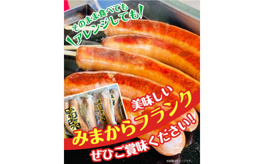 みまからフランク 720g(90g×8本) 《30日以内に出荷予定(土日祝除く)》一般社団法人美馬観光ビューロー 徳島県 美馬市 みまから 特産品 美馬市産 青唐辛子 お鍋 ソーセージ フランクフルト ブランド豚肉 阿波美豚 送料無料 st-p