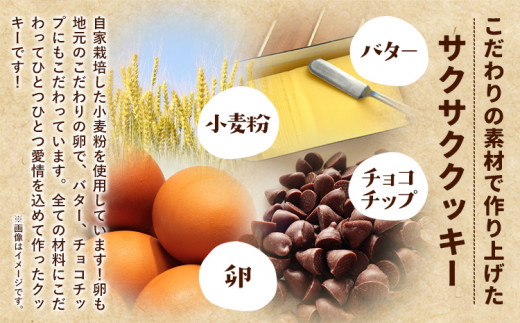 クッキーの詰め合わせ 選べる 内容量 6個入り 美馬市産 実森ラボラトリー株式会社 自家製小麦のお店mimori《30日以内に発送予定(土日祝除く)》送料無料 徳島県 美馬市 お菓子 クッキー 小麦 チョコこども 子供 スイーツ おやつ