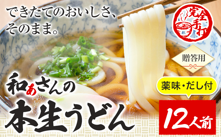 おうどんセット 12人前 《90日以内に出荷予定(土日祝除く)》和ぁさん家、株式会社栄工製作所 うどん 麺 生麺 生うどん 本格 手作り 和食 ご家庭用 こだわり お手軽 ギフト セット 薬味 だし付き 徳島県 美馬市 st-p