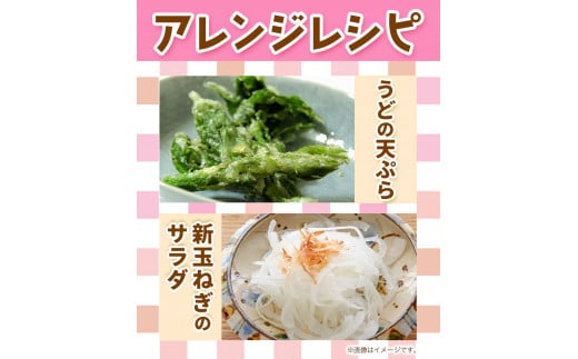 シ懷郁。御コ育エシ樊流縺ョ譁ー魄ョ縺ェ 驥手除萓ソ 4譛域丼萓ソ 8縲10蜩 繧「繧ー繝ェ繧オ繝昴シ繝育セ朱ヲャ縲4譛井ク頑流-4譛域忰鬆蜃コ闕キ縲区丼驥手除 縺オ縺 繧上i縺ウ 縺縺ゥ 縺薙@縺ゅカ繧(螻ア縺ョ螻ア闖) 譁ー邇峨ロ繧ョ 縺サ縺繧後s闕 繝溘ル繝医槭ヨ 莠コ蜿 蜈ォ譛 驥手除 髱呈棡迚ゥ 騾∵侭辟。譁 蠕ウ蟲カ逵 鄒朱ヲャ蟶