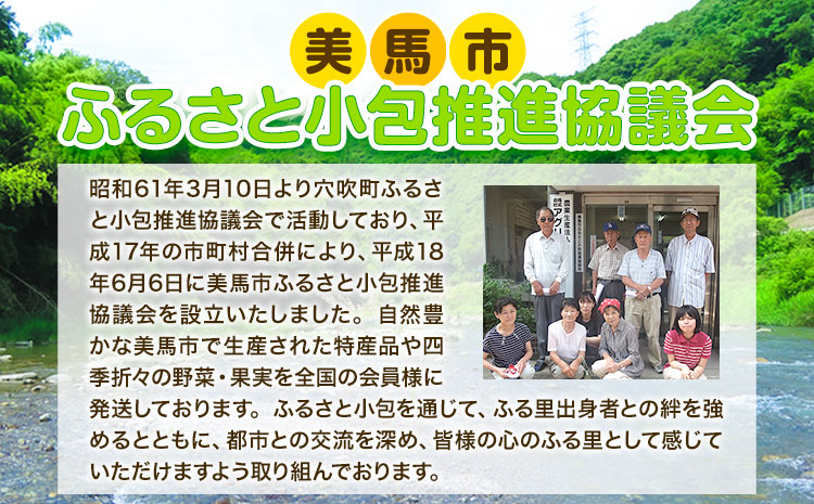 ふるさと小包詰め合わせ12月 8種セット 美馬市ふるさと小包推進協議会《12月上旬-12月下旬頃出荷》冬野菜 デザート 野菜 もち 餅 ほしいも 柿 カキ 杵つきもち そば米 黒大豆 干し芋 芋へぎ ポン菓子 愛宕柿 ゆず 季節の野菜 送料無料 徳島県 美馬市