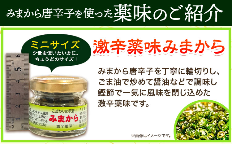 激辛薬味みまからミニ5個セット 20g×5個 有限会社美馬交流館《30日以内に出荷》| ふるさと納税 調味料 薬味 ご当地グルメ ご当地食材 名物 徳島県 美馬市 みまから ミニサイズ お試し 送料無料