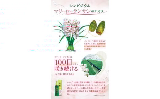 è²æ¯å€ è¬çšè²æ¯å€ è倢 é»éç ã3ã¶æå®æäŸ¿ (1æ¬/æ)ã æ ªåŒäŒç€Ÿ æ²³éã¡ãªã¯ãã³ããç³èŸŒã¿æã®ç¿æããåºè·éå§ãè ã©ã³ æŽã©ã³ ç·æ§çš 女æ§çš è²æ¯ ã¹ãã¬ãŒ è²æ¯ããŒã·ã§ã³ çãé ã¹ã«ã«ã ç·æ§ å¥³æ§ çºæ¯ä¿é² 逿¯ èæ¯ æãæ¯ åŸ³å³¶ç çŸéŠ¬åž st-p