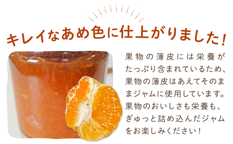 ジャム フルーツ 不知火 りんご しらぬひとりんごのゴロゴロジャム 1個 (1個250g) 有限会社美馬交流館《30日以内に出荷予定(土日祝除く)》徳島県 美馬市 送料無料 ジャム 果物 果肉 ごろごろ たっぷり みかん リンゴ しらぬい デコポン