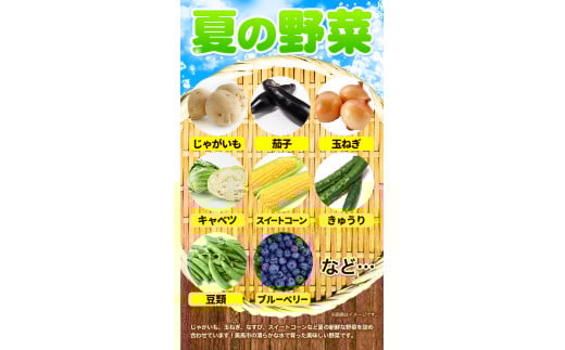 ＜先行予約＞ 旬の新鮮な 野菜便 7月夏便 8〜10品 アグリサポート美馬《7月上旬-7月末頃出荷》とうもろこし 夏野菜 じゃがいも きゅうり ブルーベリー キャベツ 茄子 玉ねぎ 豆  野菜 青果物 送料無料 徳島県 美馬市