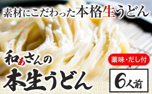 おうどんセット ６人前 《90日以内に出荷予定(土日祝除く)》和ぁさん家、株式会社栄工製作所 うどん 麺 生麺 生うどん 本格 手作り 和食 ご家庭用 こだわり お手軽 ギフト セット 薬味 だし付き 徳島県 美馬市 st-p
