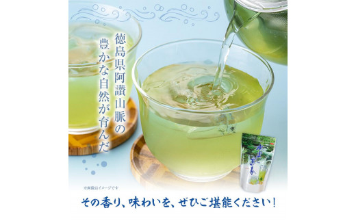 水出し煎茶 100g(10g×10個)  3袋 お茶処茶里庵 さりあん《90日以内に出荷予定(土日祝除く)》徳島県 美馬市 お茶 茶 緑茶 日本茶 煎茶 深蒸し煎茶 深蒸し 水出し ティーバッグ ティーパック