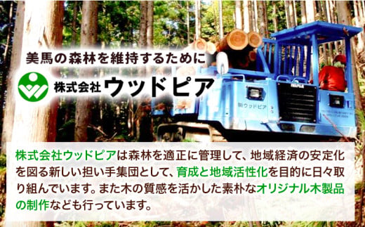 木のマグネットセット (長方形 丸型) 8個セット株式会社ウッドピア 《30日以内出荷(土日祝除く)》 椅子 木製 送料無料 徳島県 美馬市 スギ