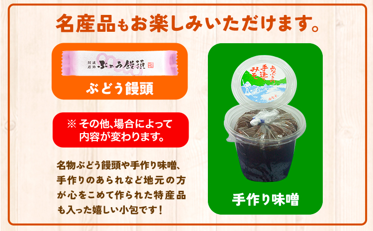 ふるさと小包詰め合わせ12月 8種セット 美馬市ふるさと小包推進協議会《12月上旬-12月下旬頃出荷》冬野菜 デザート 野菜 もち 餅 ほしいも 柿 カキ 杵つきもち そば米 黒大豆 干し芋 芋へぎ ポン菓子 愛宕柿 ゆず 季節の野菜 送料無料 徳島県 美馬市