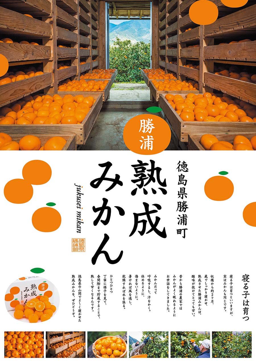 JAæ±ãšãããŸ åæµŠçæã¿ãã 9kg 倧çãµã€ãº åªå