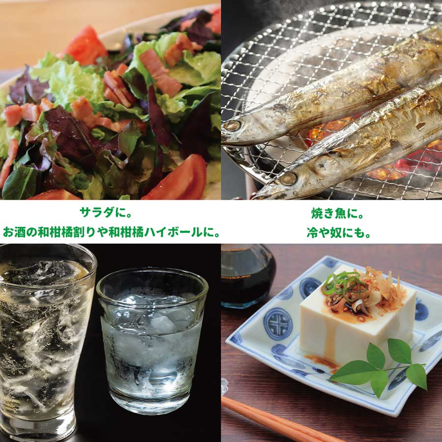 内谷農園 低温貯蔵すだち 贈答用 2kg