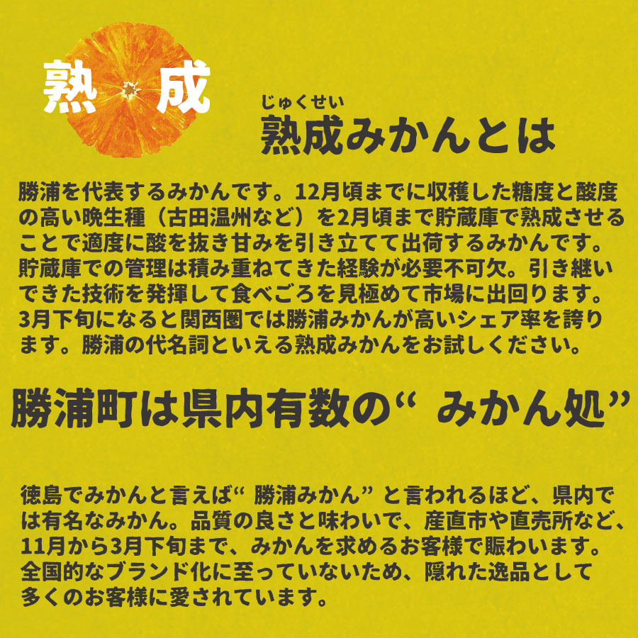 井出農園 家庭用 熟成みかん S-LLサイズ 7kg