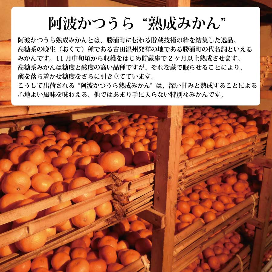 JAæ±ãšãããŸ åæµŠçæã¿ãã 9kg 倧çãµã€ãº åªå