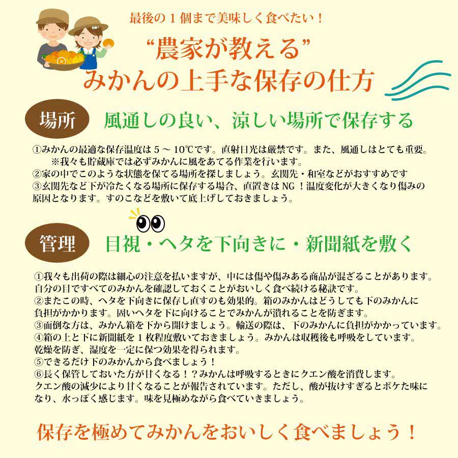 JAæ±ãšãããŸ åæµŠçæã¿ãã 9kg 倧çãµã€ãº åªå