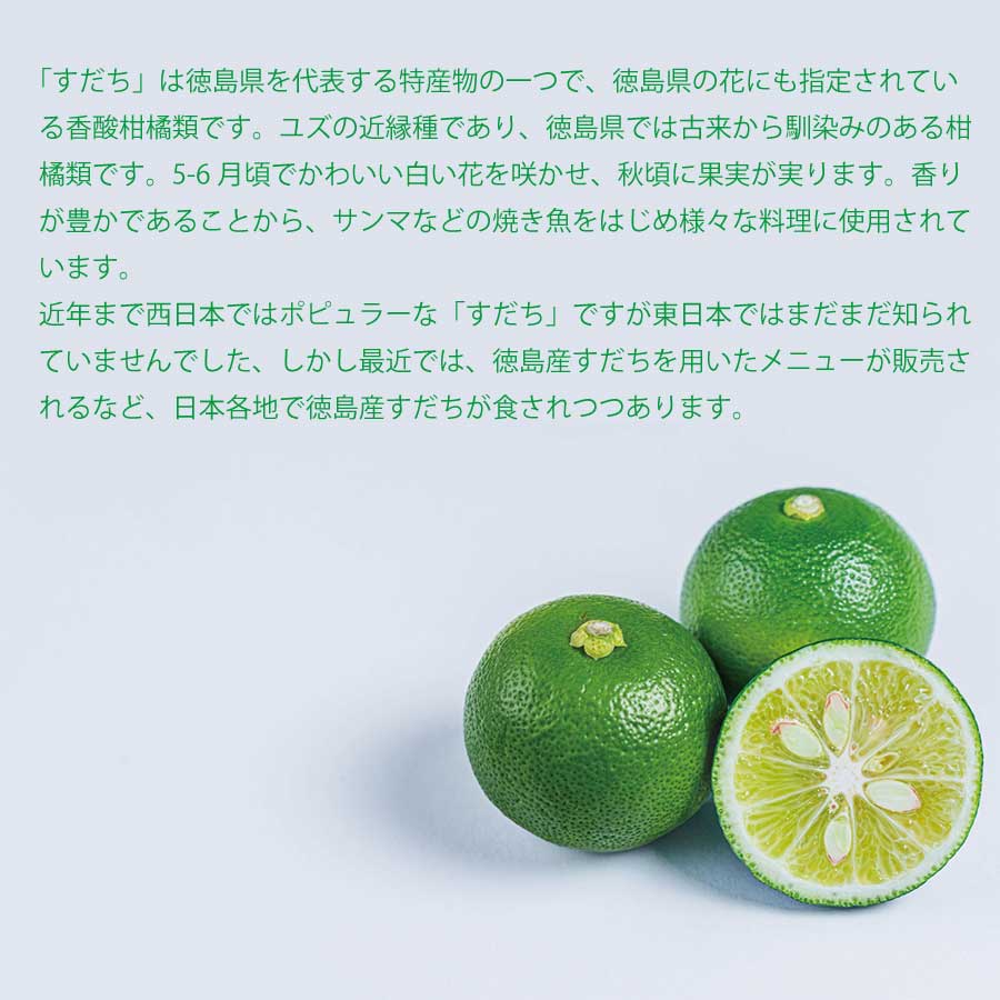 内谷農園 低温貯蔵すだち 贈答用 2kg