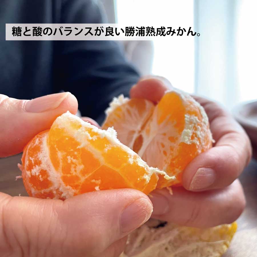 JAæ±ãšãããŸ åæµŠçæã¿ãã 9kg 倧çãµã€ãº åªå