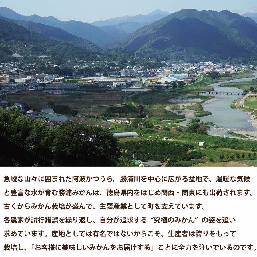 JAæ±ãšãããŸ åæµŠçæã¿ãã 9kg 倧çãµã€ãº åªå