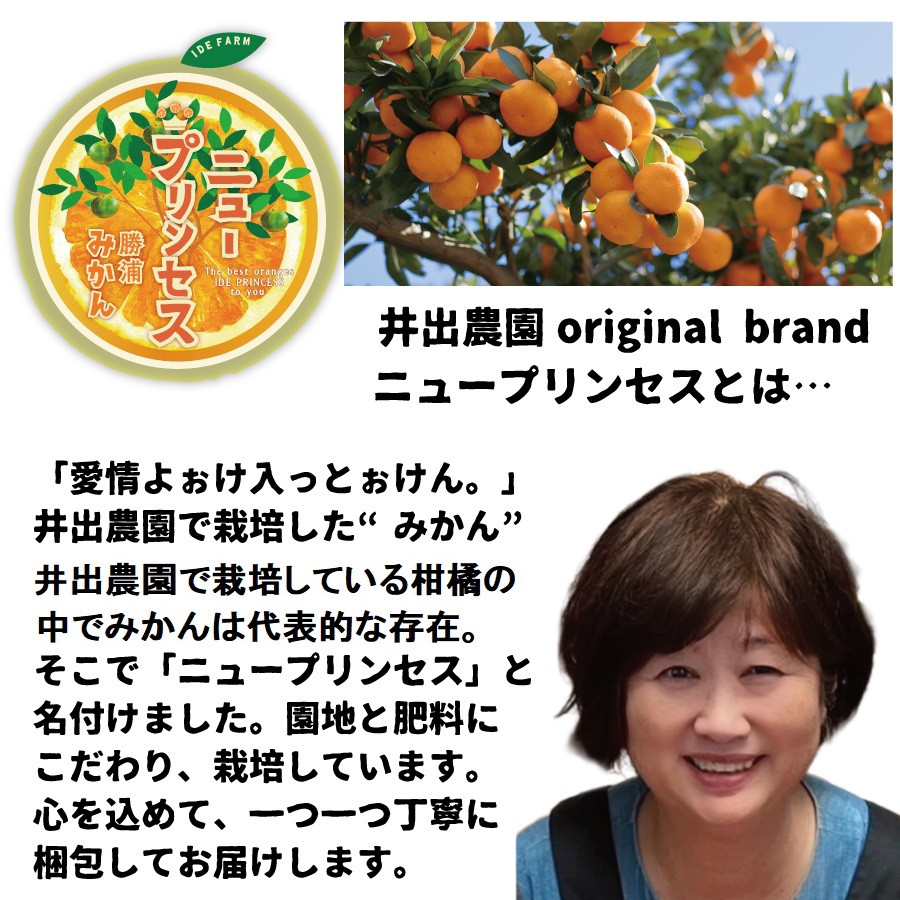 井出農園 家庭用 熟成みかん S-LLサイズ 10kg