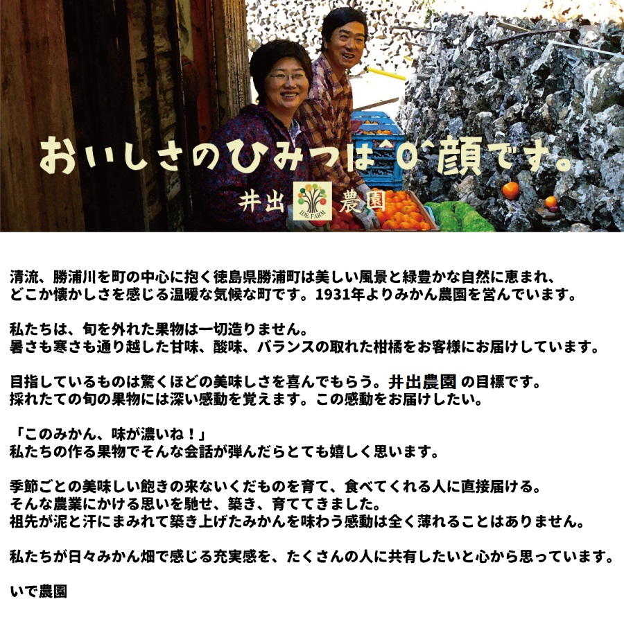 井出農園 贈答用 熟成みかん 秀品 S-Mサイズ 7kg