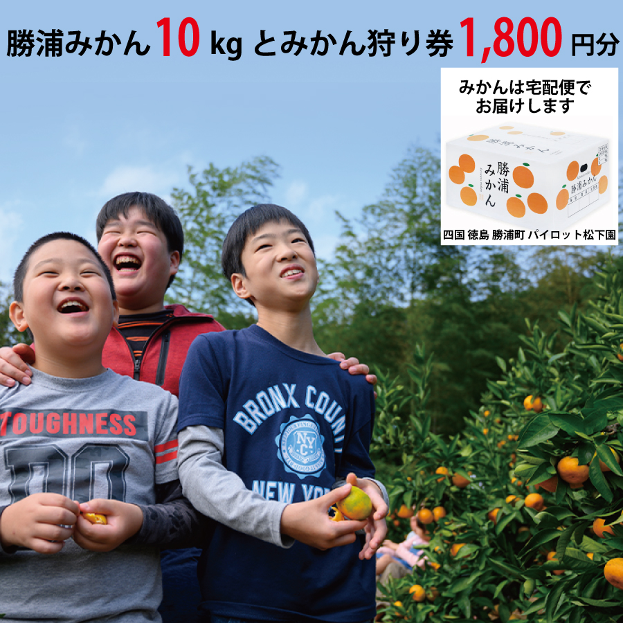 パイロット松下園 勝浦みかん 10kg＋みかん狩り券 1800円分