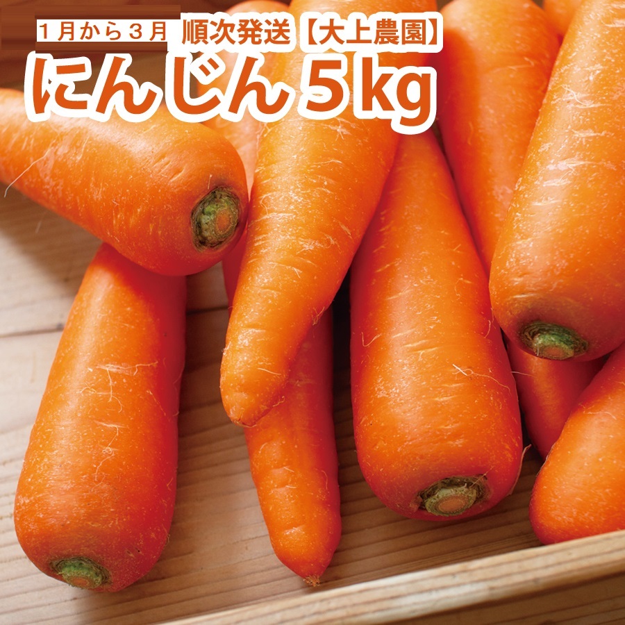 大上農園 にんじん 5kg