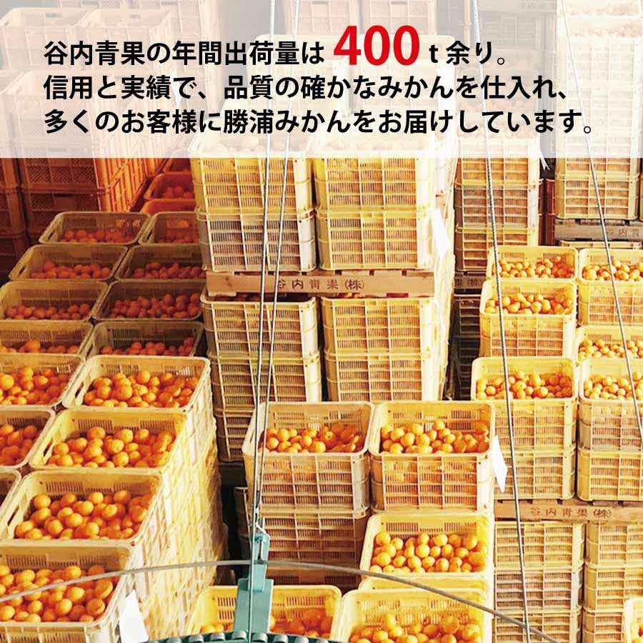 谷内青果 熟成みかん 秀品 サイズ混合 10kg