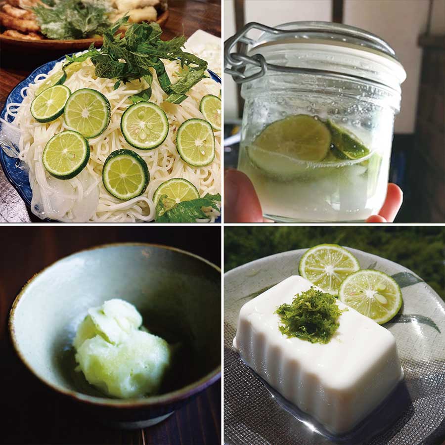 あおとくる 山のすだち 1kg