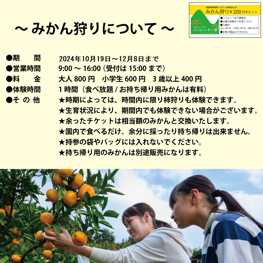 パイロット松下園 勝浦みかん 10kg＋みかん狩り券 2400円分