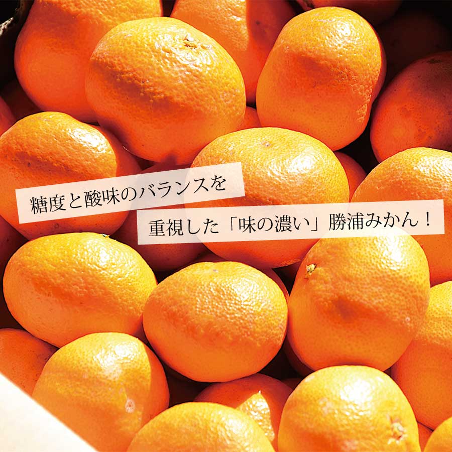 花岡農園 熟成みかん 秀品 S-LLサイズ 10kg