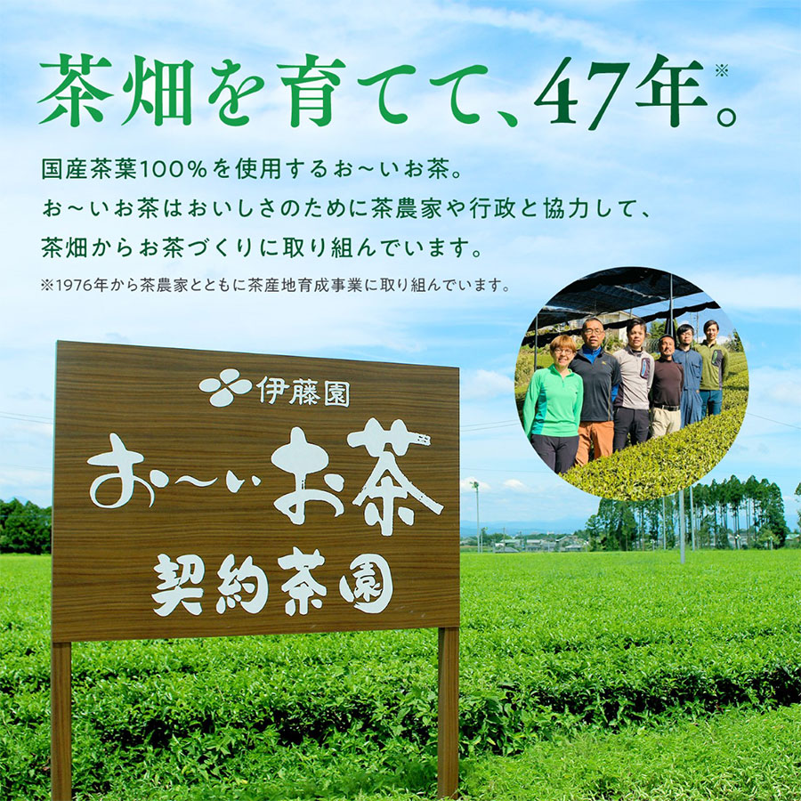 おーいお茶 ほうじ茶 345ml×24本入 伊藤園