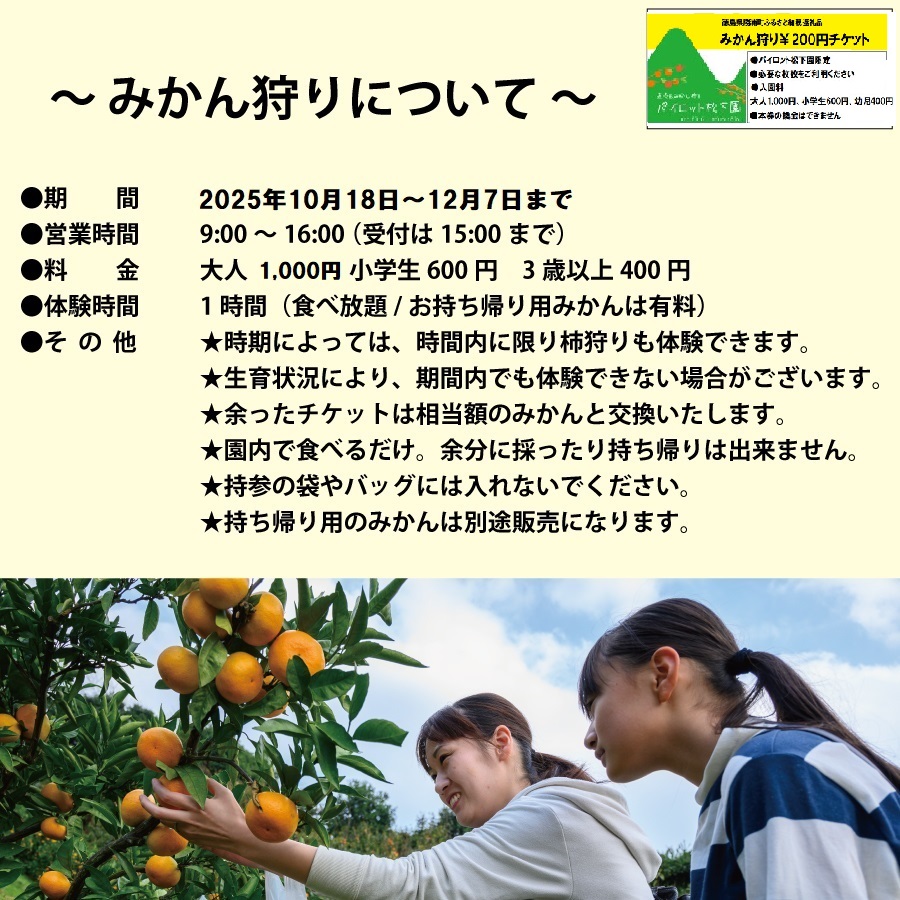 パイロット松下園 勝浦みかん 10kg＋みかん狩り券 3600円分