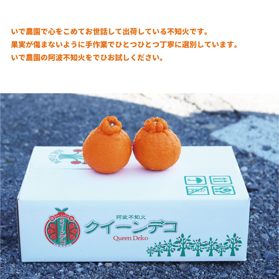 äºåºèŸ²å èŽççš é¿æ³¢äžç¥ç« çŽ10ç-12ç 4.5kg