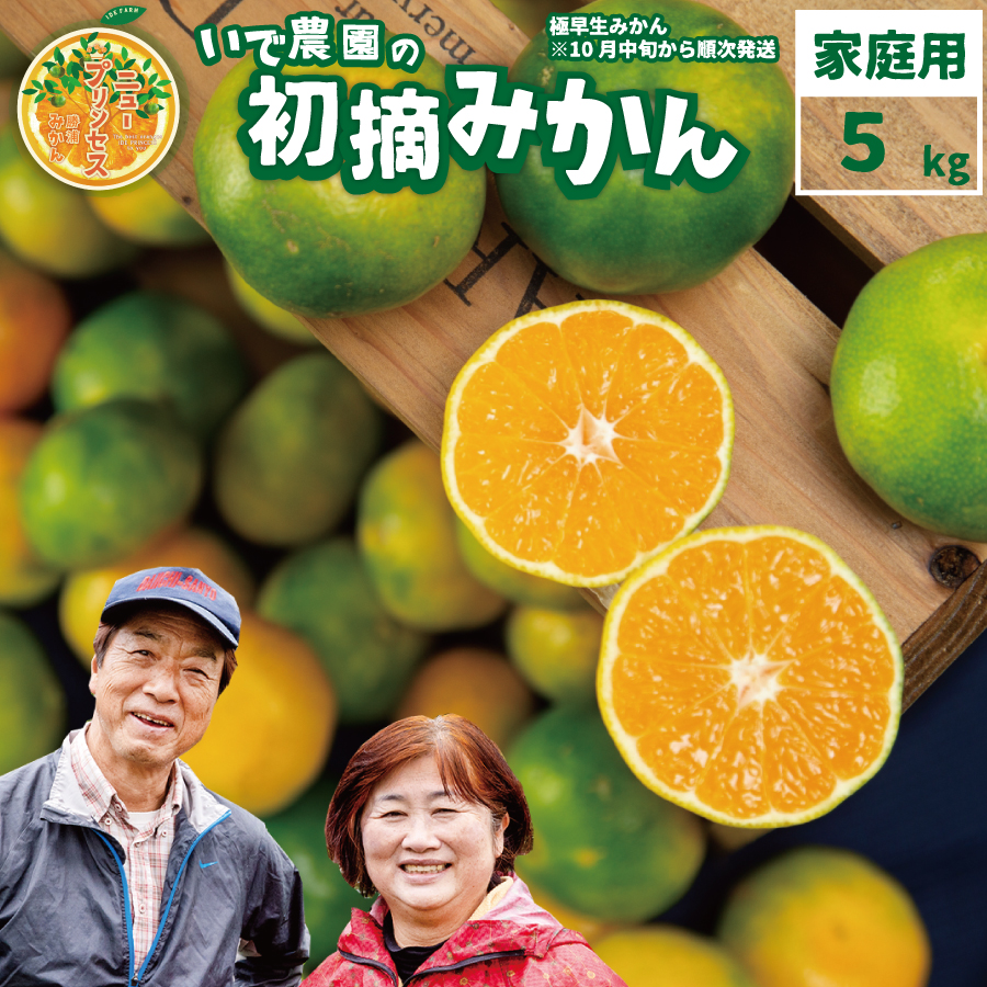 井出農園 訳あり 極早生 初摘みかん 家庭用 S-L混合 5kg