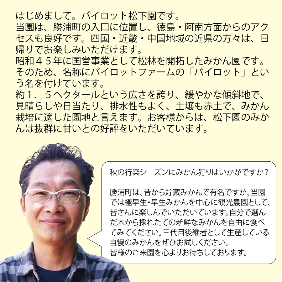 パイロット松下園 みかん狩り券 3000円分