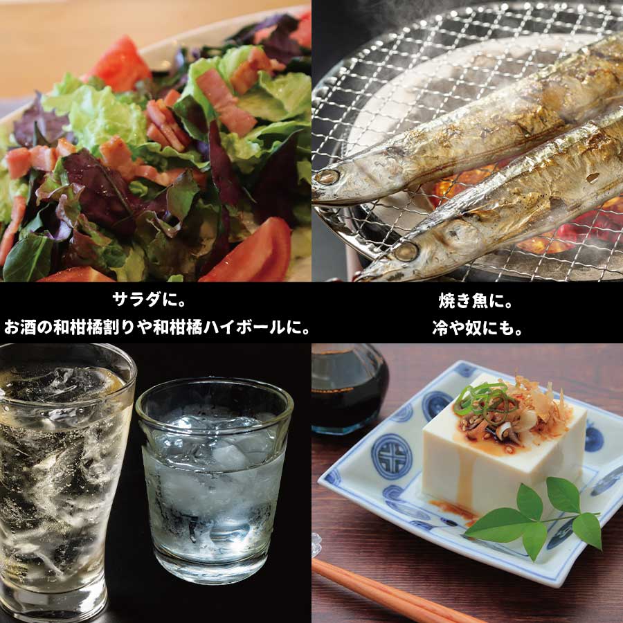 莠募コ霎イ蝨 髴イ蝨ー縺吶□縺。 縺縺ァ繝励Μ繝ウ繧ケ 螳カ蠎ュ逕ィ 2kg