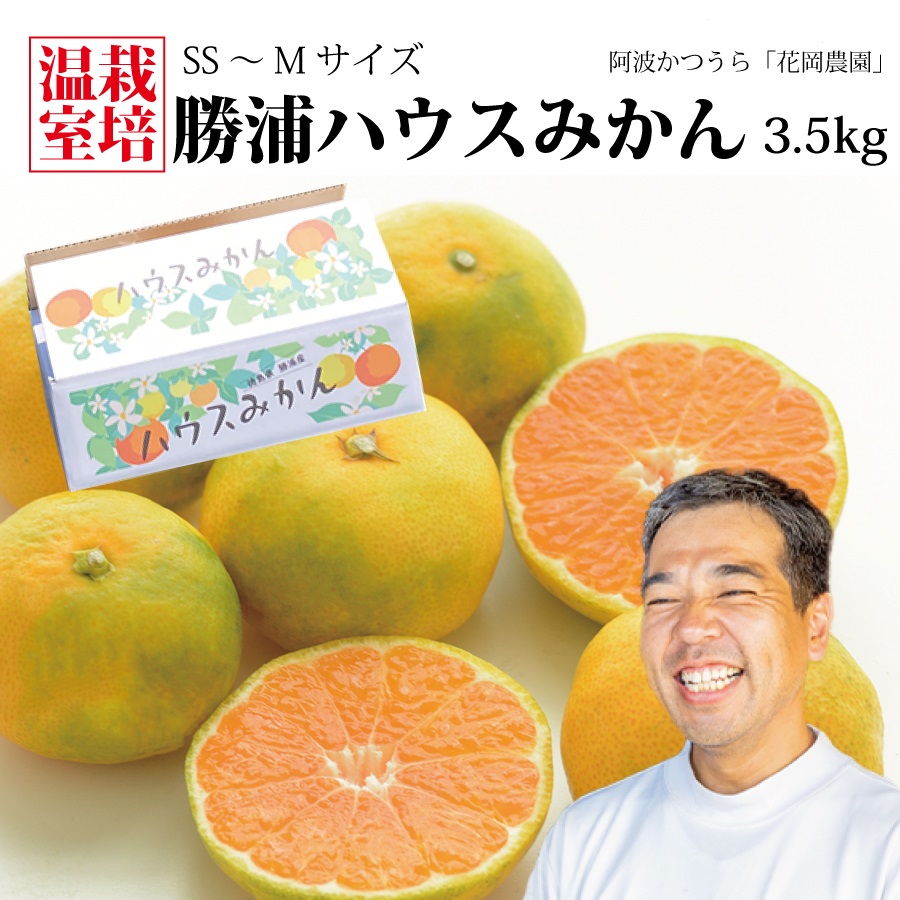 花岡農園 勝浦ハウスみかん SS-Mサイズ 3.5kg（個包装8パック入）