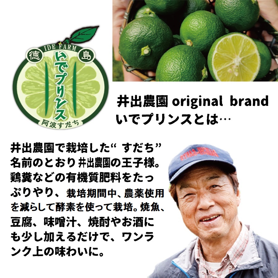 莠募コ霎イ蝨 髴イ蝨ー縺吶□縺。 縺縺ァ繝励Μ繝ウ繧ケ 螳カ蠎ュ逕ィ 2kg