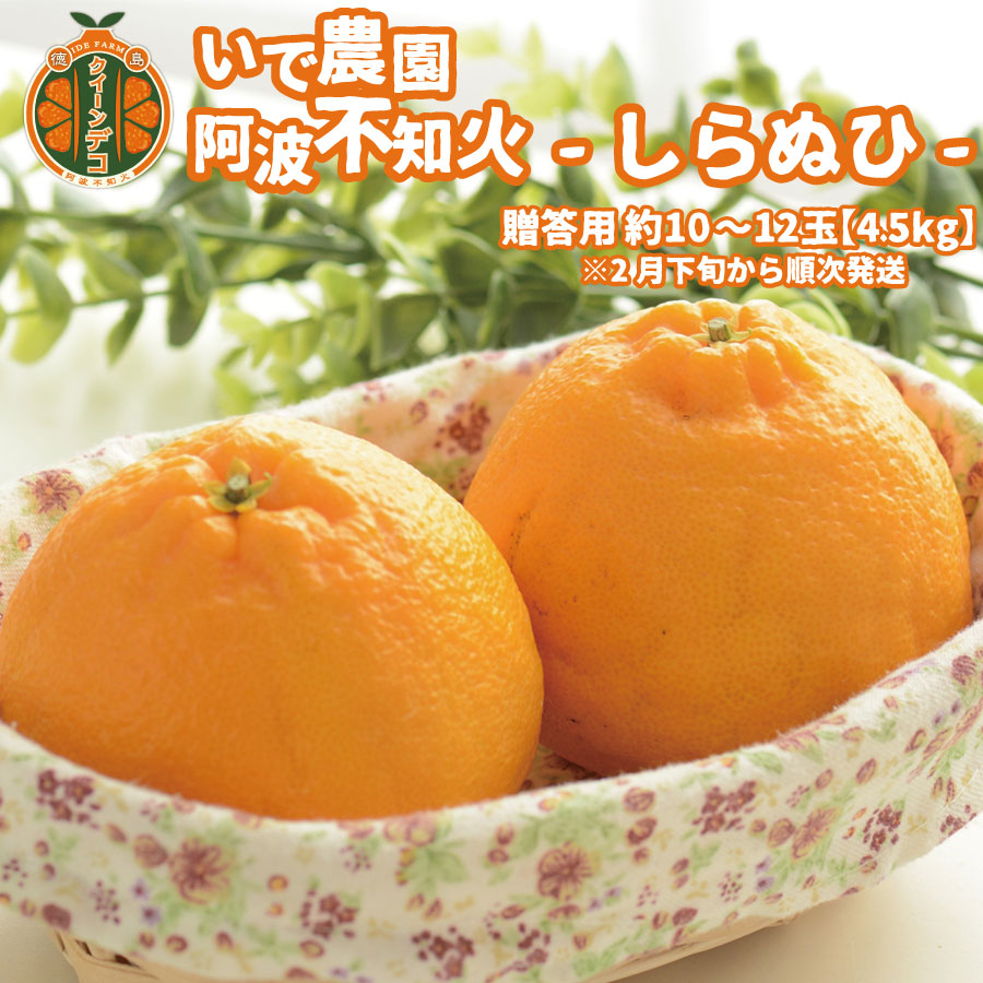井出農園 贈答用 阿波不知火 約10玉-12玉 4.5kg