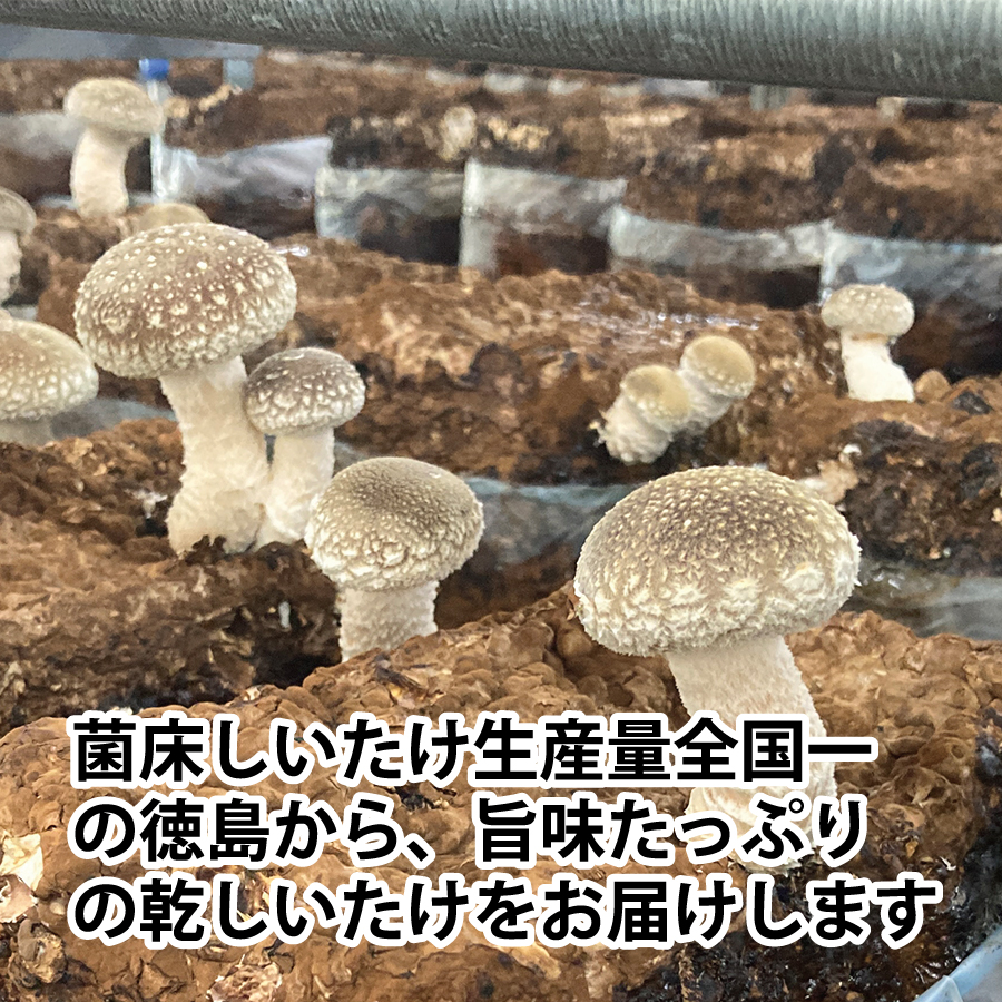 北野農園 乾しいたけスライス 200g