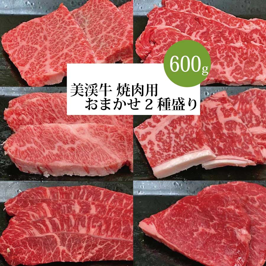 美渓牛 焼肉おまかせ2種 600g