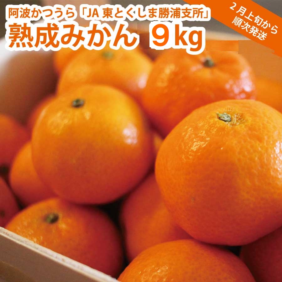 JA東とくしま 勝浦熟成みかん 9kg 大玉サイズ 優品
