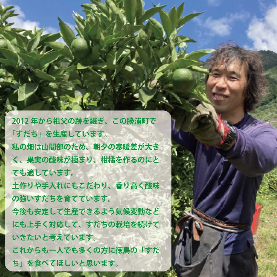 内谷農園 低温貯蔵すだち 贈答用 1kg