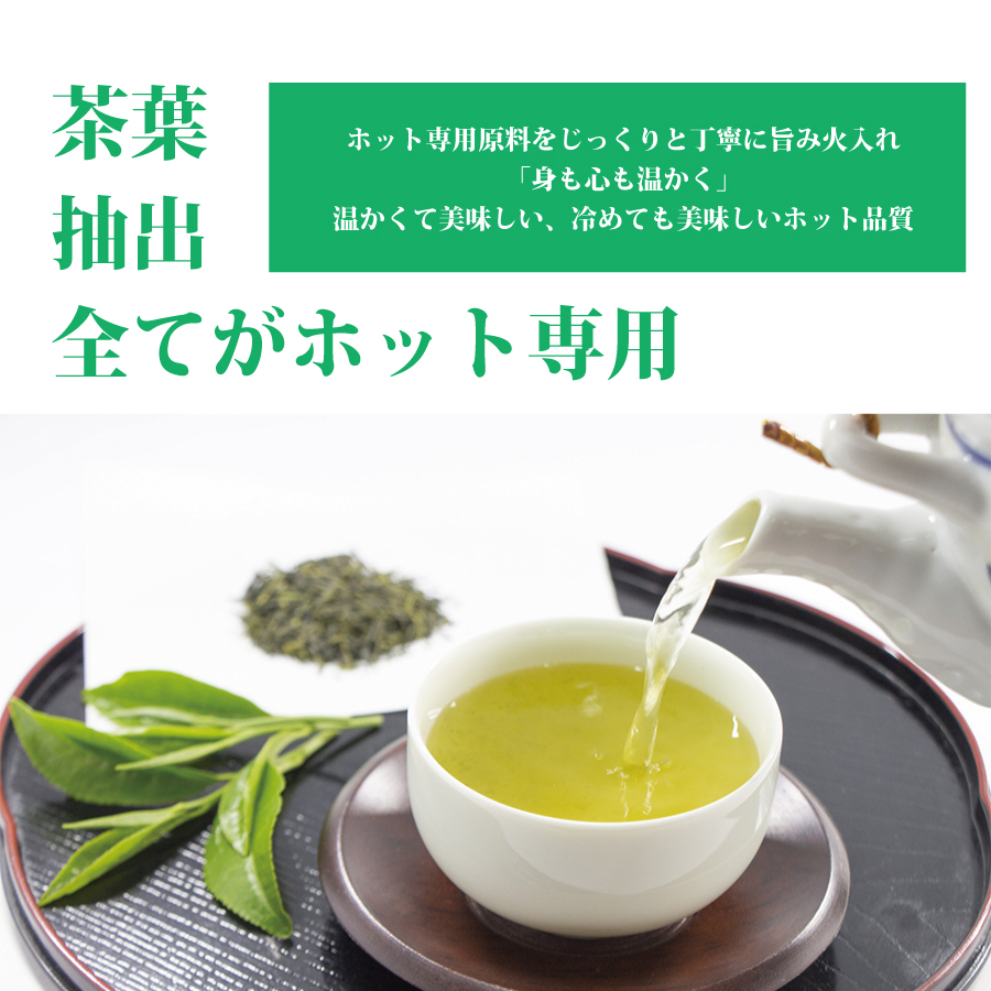 【定期便6回】おーいお茶 緑茶 345ml×24本入 伊藤園